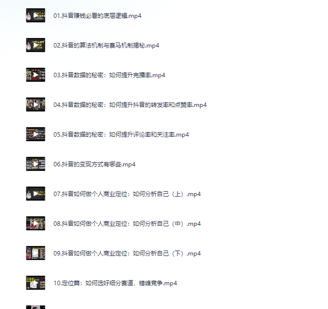 个人IP创富系统实战课，商业定位，流量打造，短视频变现，教你做个赚钱的抖音号