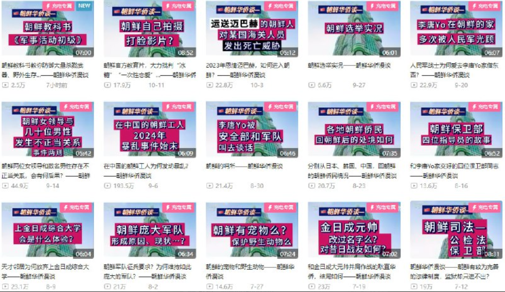 B站up主李唐yo付费充电视频【共43期】 用旁观者和亲历者的视角，带您走入真实的朝鲜