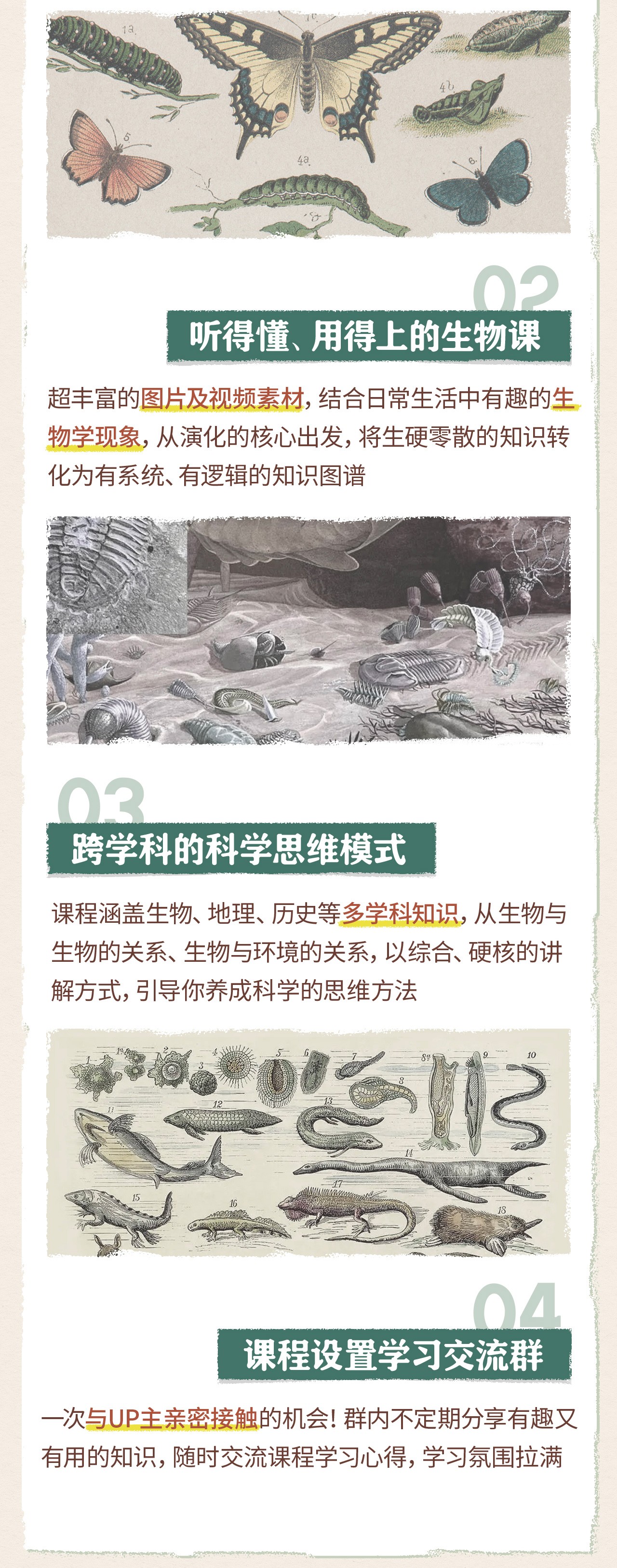 B站付费课程 - 鬼谷的生物演化课