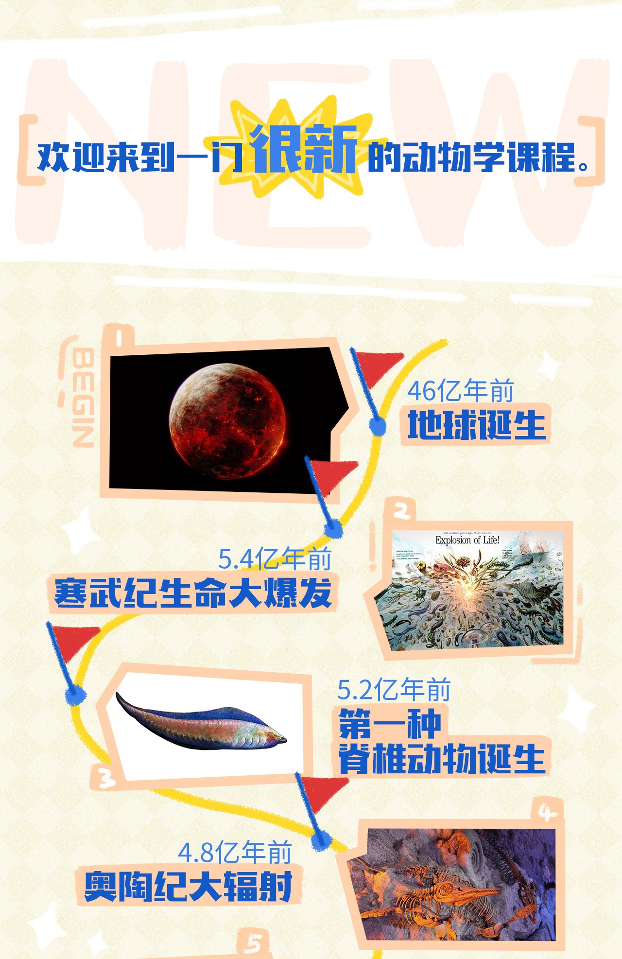 B站付费课程 - 鬼谷的动物学课【2.66G】