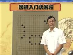 围棋入门快易精-王元围棋视频讲座【862.6MB】