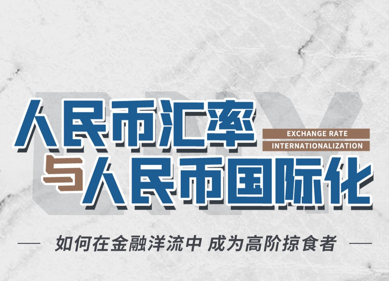 B站付费课程 - 翟东升:人民币汇率与人民币国际化【4.57G】