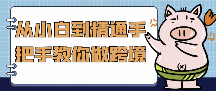 从小白到精通手把手教你做跨境 【1.3GB】