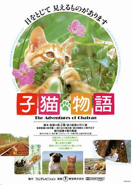 小猫的故事 子猫物語