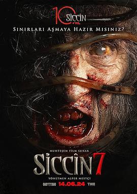 西辛7 Siccin 7