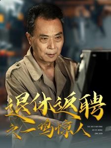 退休返聘之一鸣惊人（65集）   [591MB]