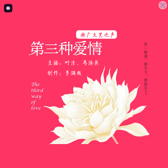 ❤️第三种爱情❤️自由行走_娱乐广播_多人_完结【全40集MP3/747.7M】掐头去尾畅听版