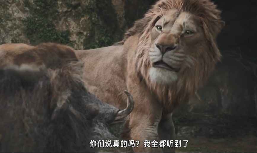      [狮子王：木法沙传奇]     [WEB-MKV/8GB]     [英语中字]     [1080P]     [正式版 抓紧存]