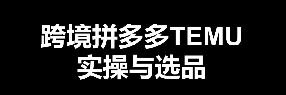 最新跨境电商(跨境夕夕、海外版夕夕TEMU)实操教学 从发布商品到售卖发货全流程操作464M