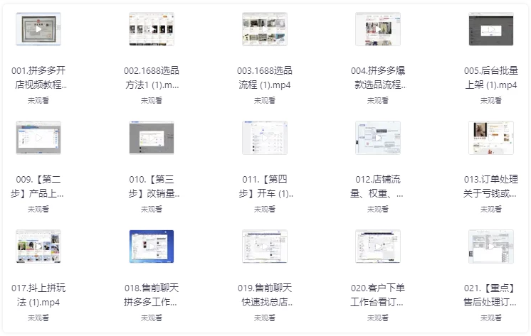 拼多多精细化运营店铺0-1,从零起步到爆单详细教程 【403MB】