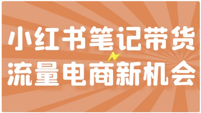 小红书笔记带货流量电商新机会 【18.8GB】