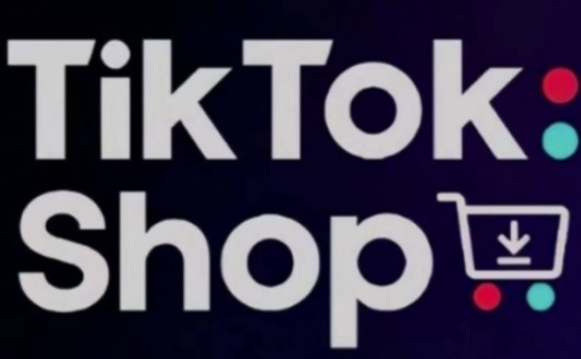 TikTokShop跨境电商0-1实战，手把手教你低成本启动海外市场【970MB/MP4】