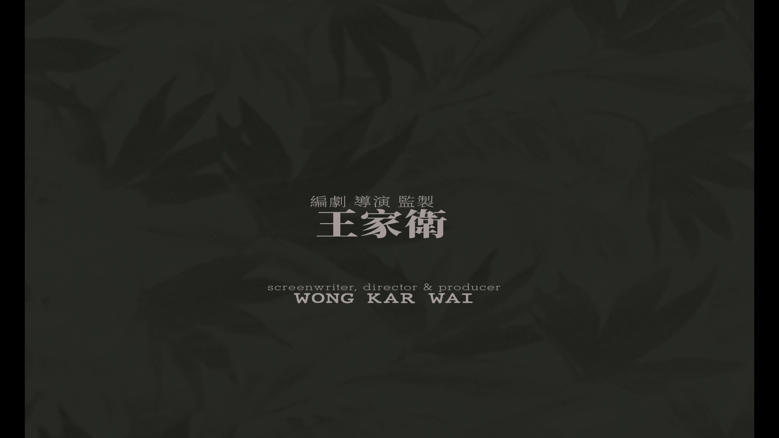 重庆森林（1994）【4K蓝光原盘】【杜比视界&次世代国粤双音轨】内封简繁英双语字幕  [50.9G]