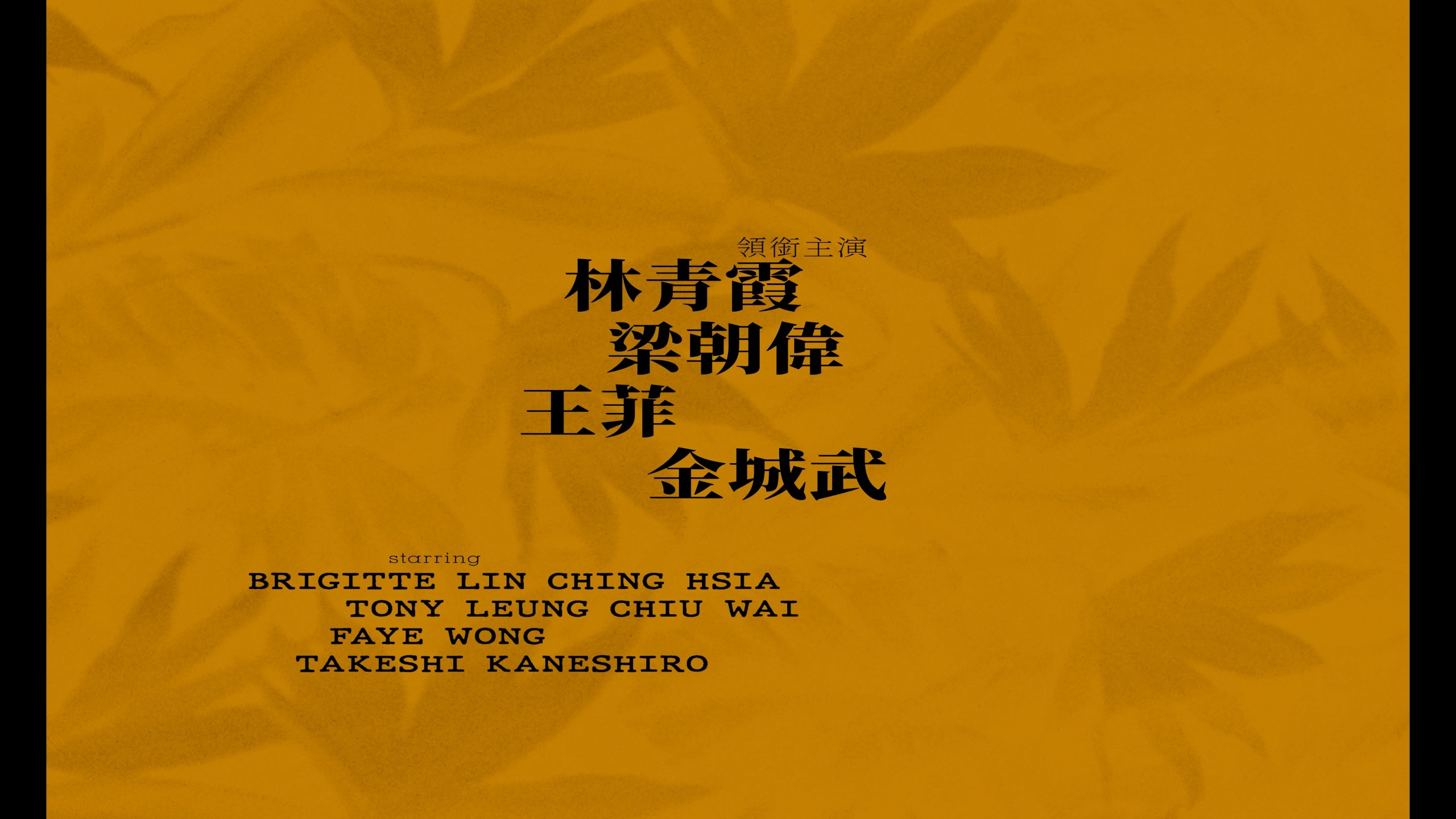 重庆森林（1994）【4K蓝光原盘】【杜比视界&次世代国粤双音轨】内封简繁英双语字幕  [50.9G]