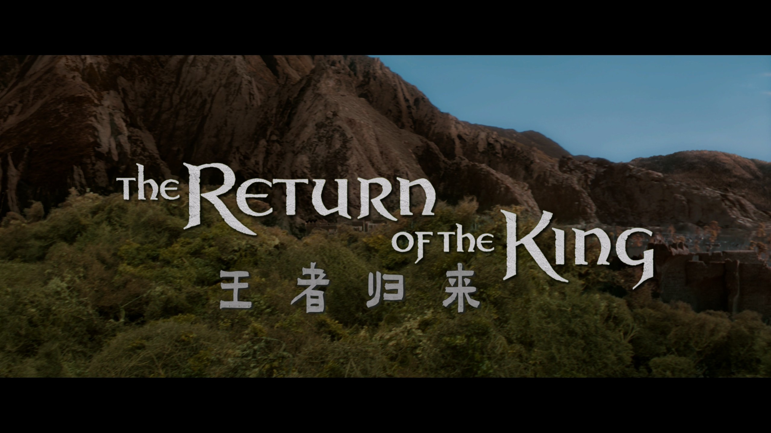 《指环王》三部曲典藏版【4K蓝光加长版原盘 REMUX】【杜比视界&杜比全景声国英双音轨】【四导评简中字幕】内封简繁英双语特效字幕     [400.5G]