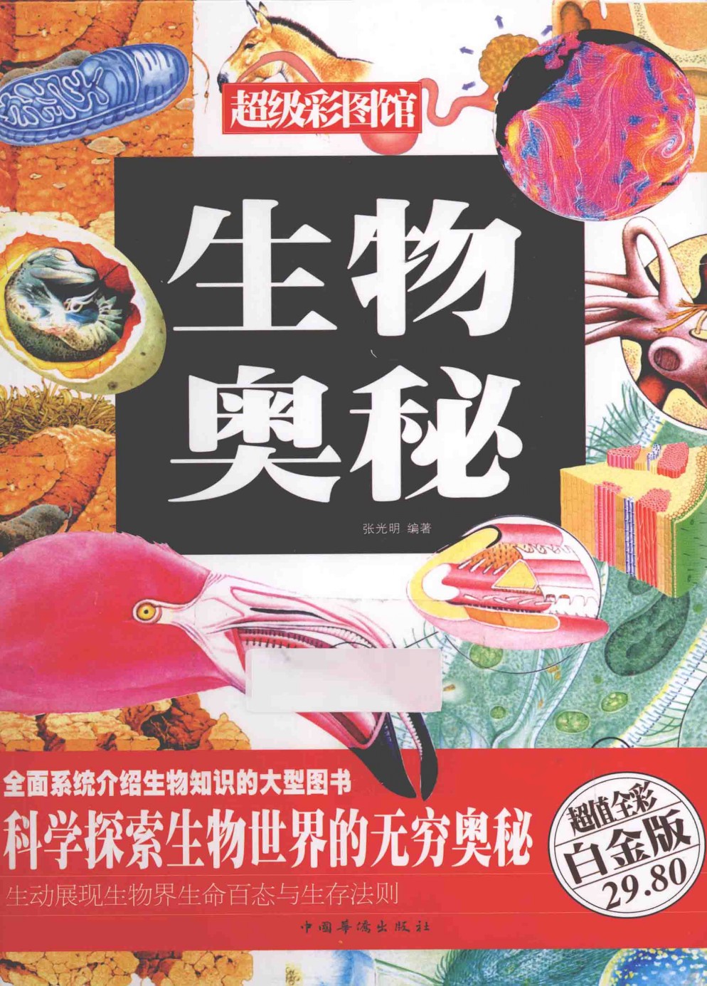 《生物奥秘》超值全彩白金版 探索生物世界无穷奥秘（PDF 102MB）