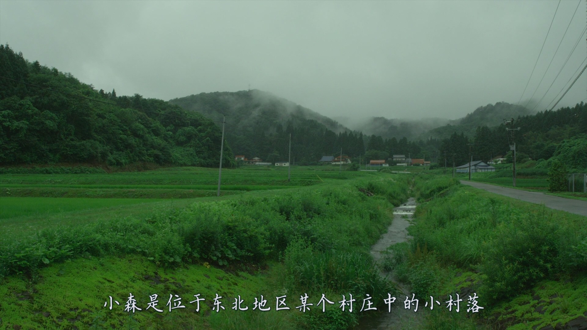 小森林系列 2部合集【蓝光原盘REMUX】【次世代环绕声5.1】内封简繁特效字幕  [67.7G]   [小森林冬春篇/小森林夏秋篇]
