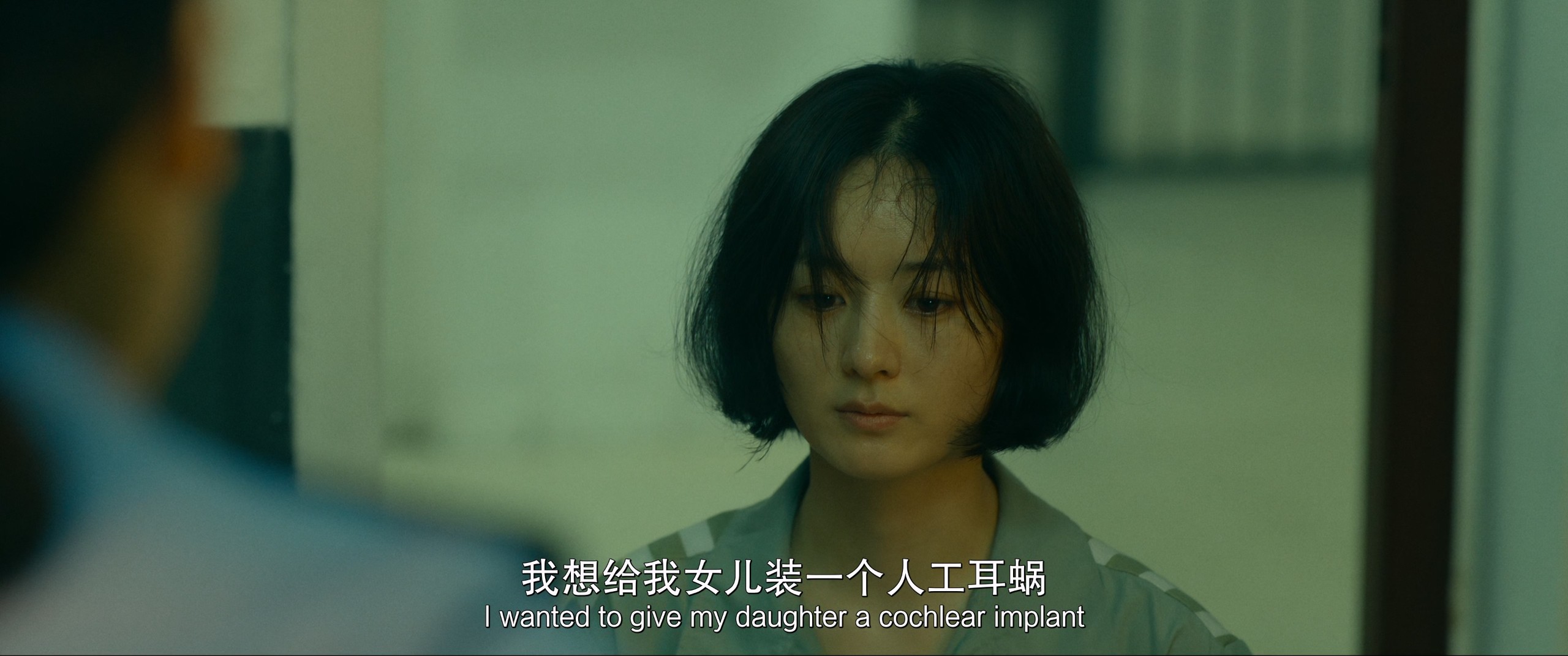 向阳·花 (2025) 4K【高码率60FPS WEB-DL】【次世代环绕声&杜比环绕声多音轨】嵌入简英双语字幕    [27.7G]