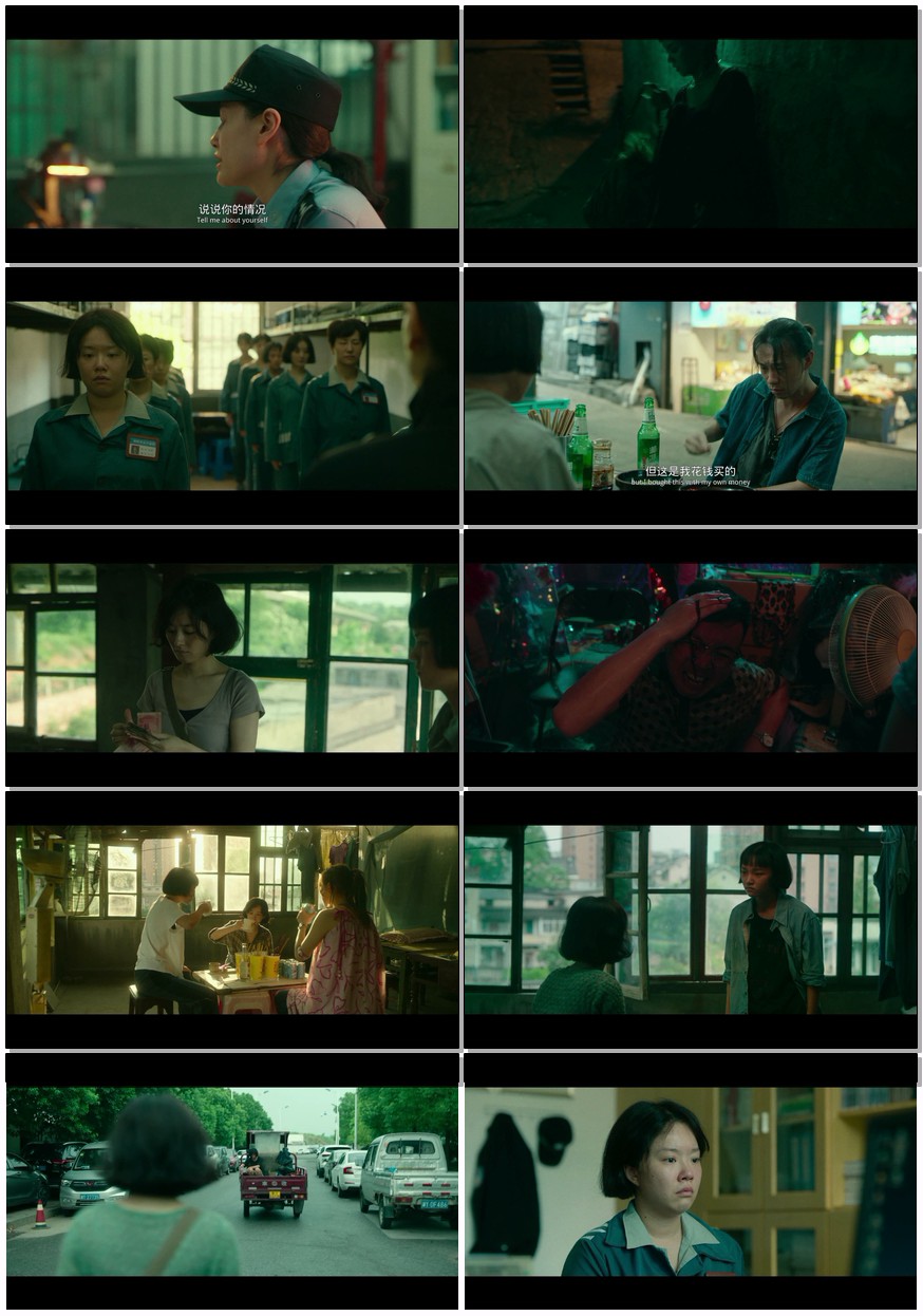             [向阳·花]            [2025年 冯小刚导演/赵丽颖大片]            [国语中字]            [1080P/6.17GB]