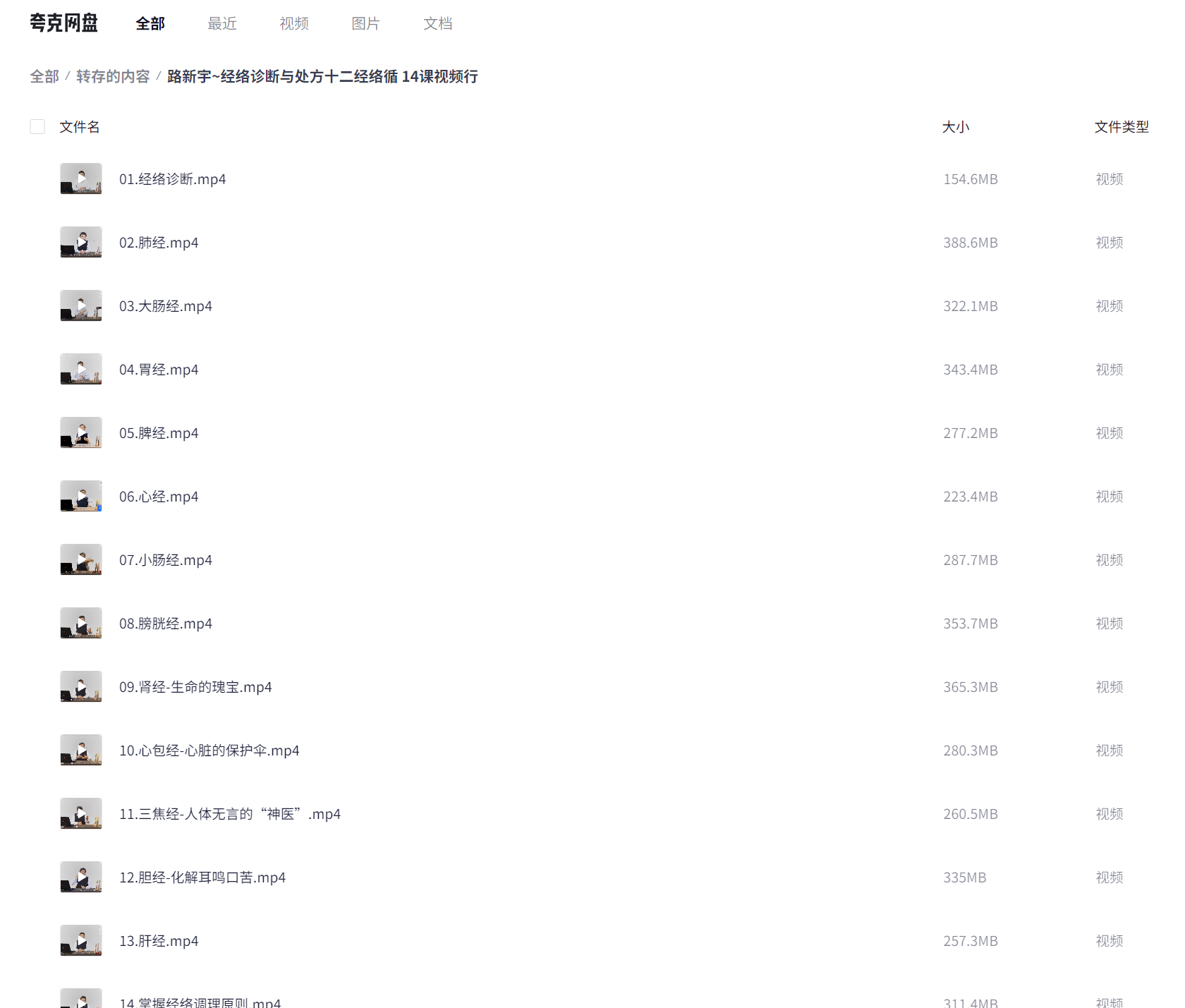 路新宇~经络诊断与处方十二经络循 14课视频行（4.1GB）