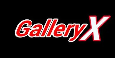 迷失艺廊X v1.0.0 中文版