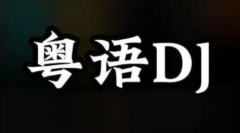 经典粤语劲嗨车载DJ打碟舞曲合集【3.1GB】