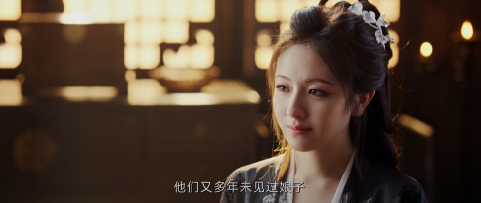 国剧《朝雪录》(2025)🎞️✨【更至最新集】【4K HDR 60FPS 10bit DDP5.1全景声】【单集2.3GB】【李兰迪/敖瑞鹏】