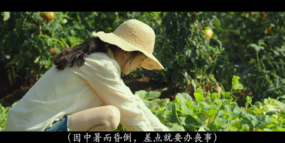 韩影《小森林》(2018)🎞️✨【103分钟完整时长】【1080P 蓝光原盘REMUX】【中文字幕】【27GB】