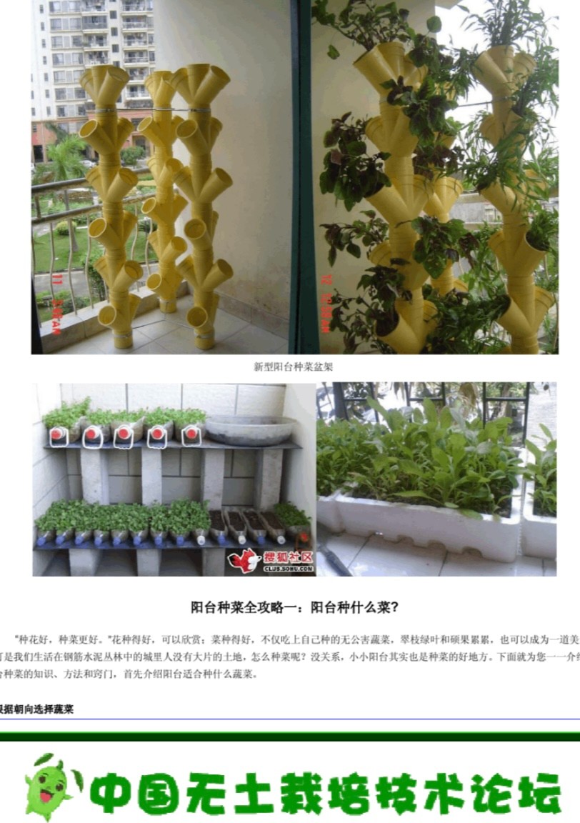 阳台种植课程｜蔬菜 水果 绿植盆栽教程（家庭园艺+免费视频+种植技术）【1.75GB】