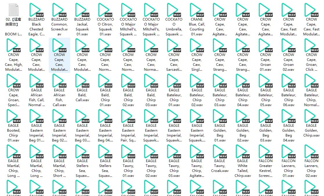 【猛禽类音效】BOOM 猛禽鸟类音效库 [wav/3.33 GB]