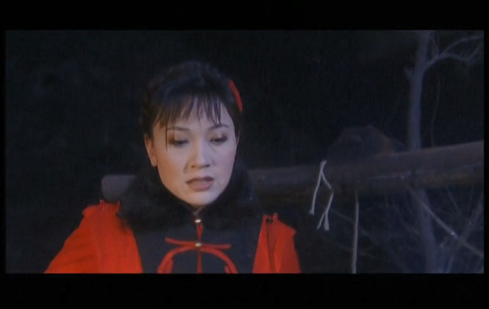 燕双鹰 系列合集：第一部 英雄（2001） 共20集 中国队长成长史 1080P国语中字【12.4G】
