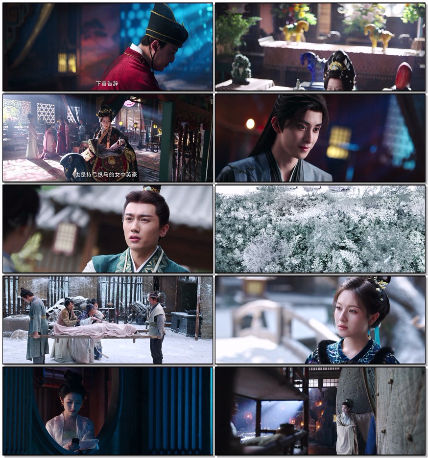       [朝雪录]      [更至第12集]      [2025李兰迪/敖瑞鹏古装探案剧]      [国语中字]      [4K/1.6GB]